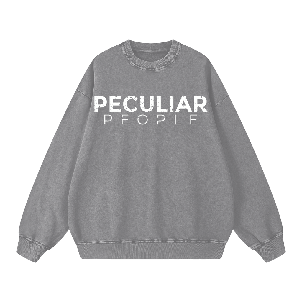 Snow Washed Oversized Sweatshirt
