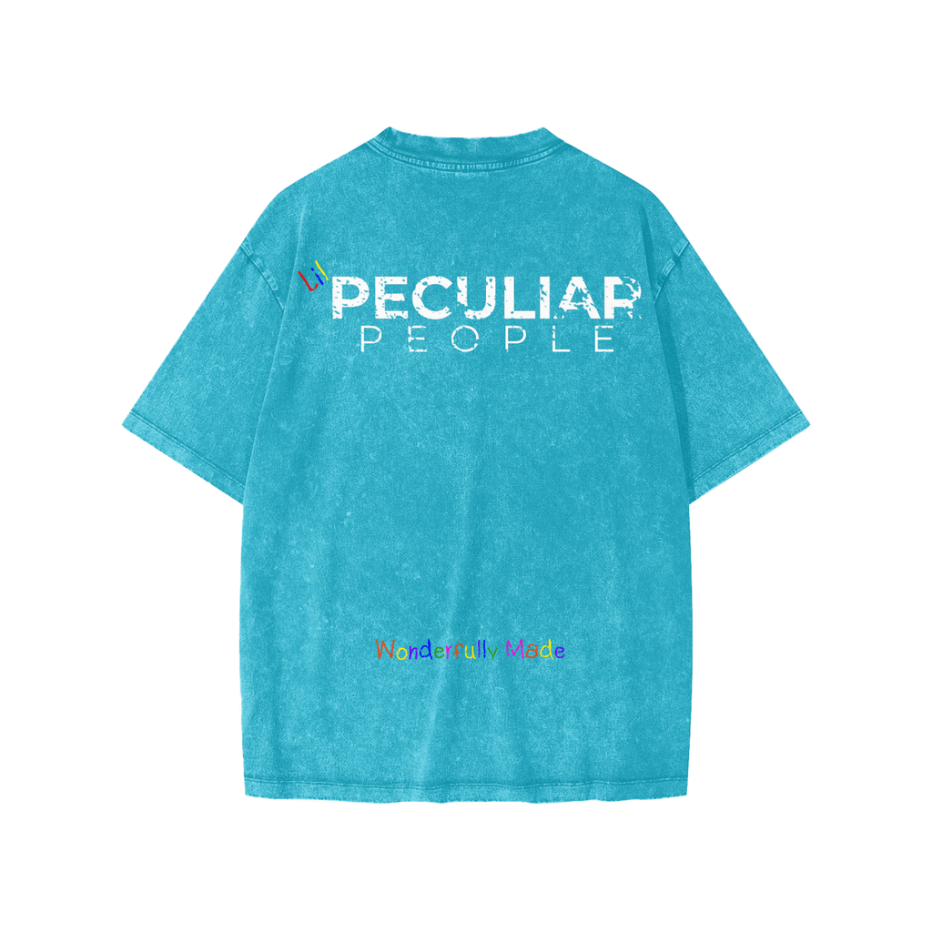 Lil Snow Washed T-Shirt
