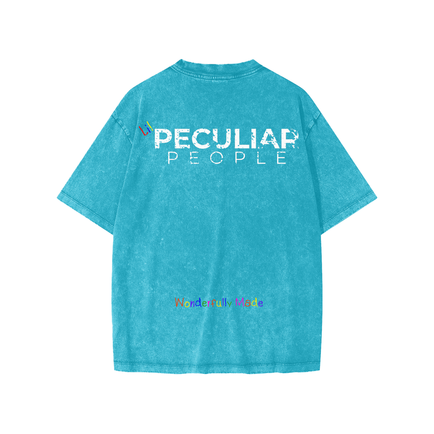 Lil Snow Washed T-Shirt