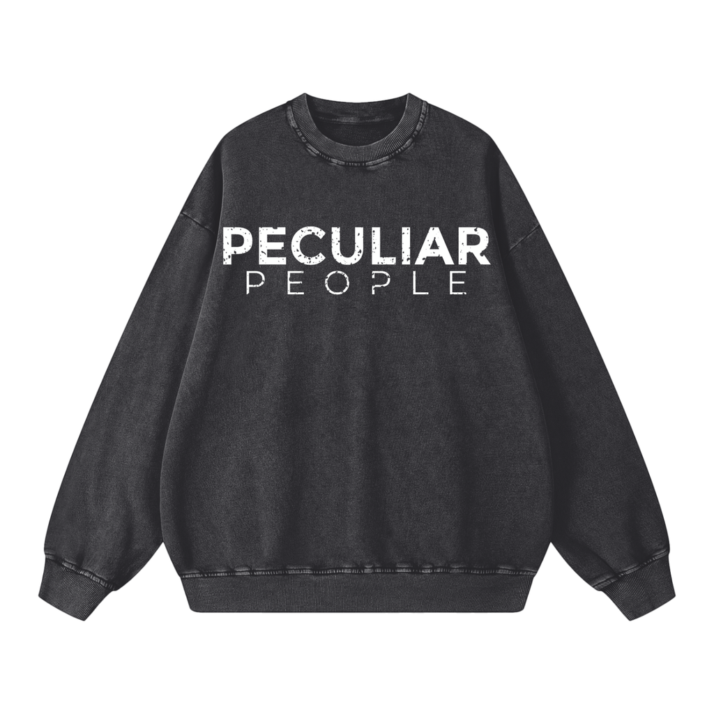 Snow Washed Oversized Sweatshirt
