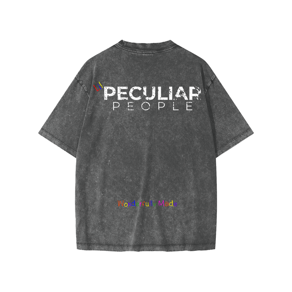 Lil Snow Washed T-Shirt