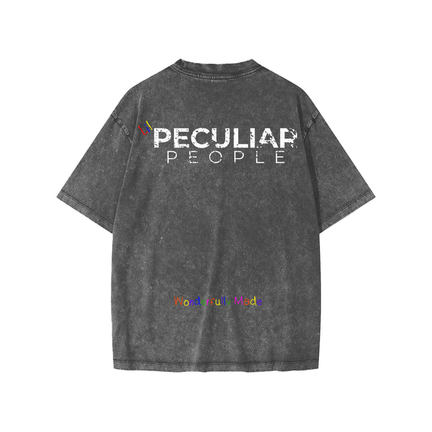 Lil Snow Washed T-Shirt