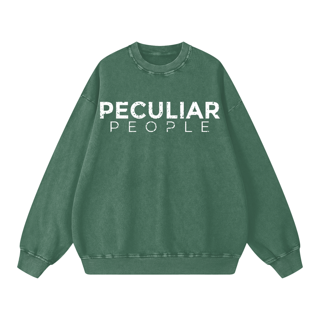 Snow Washed Oversized Sweatshirt