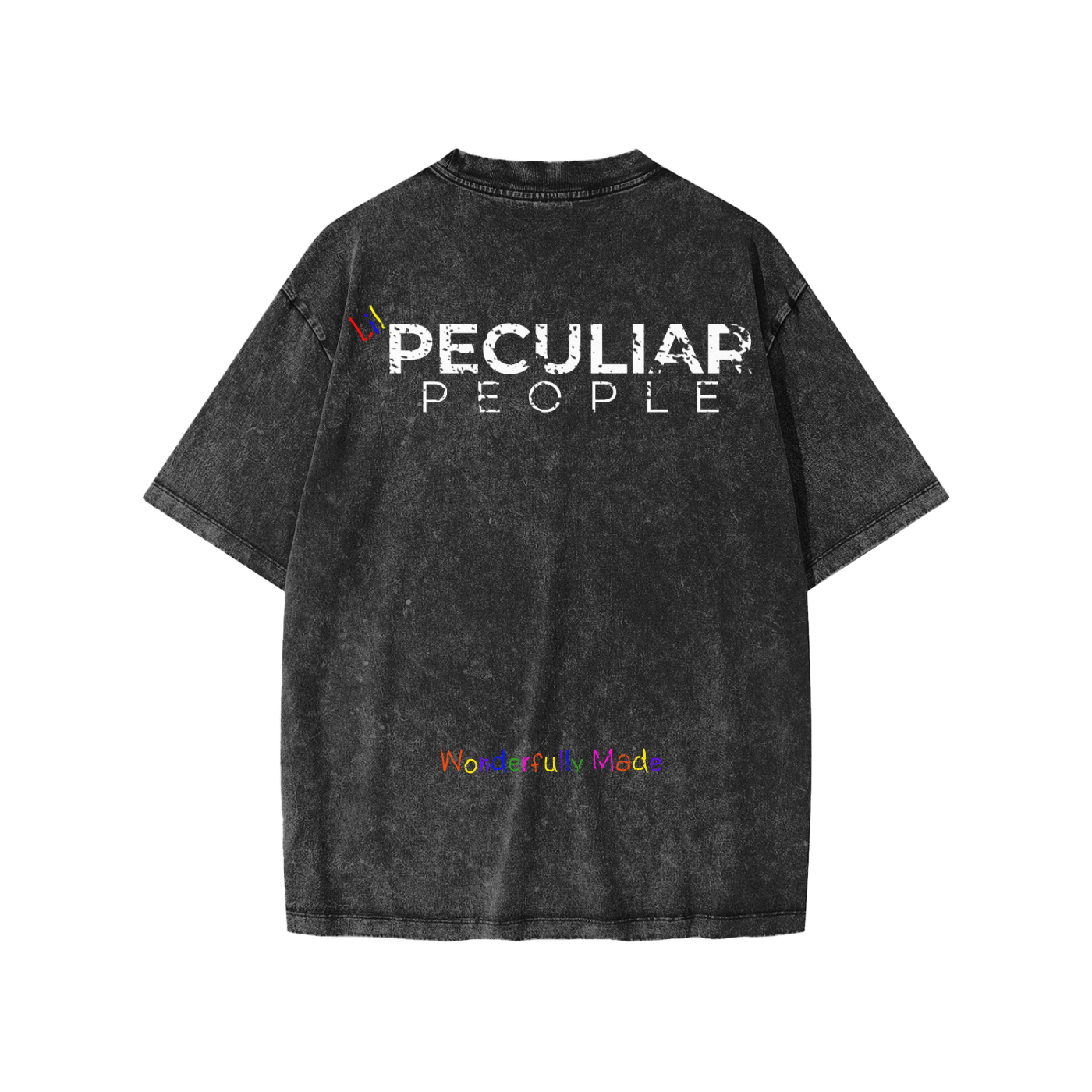 Lil Snow Washed T-Shirt