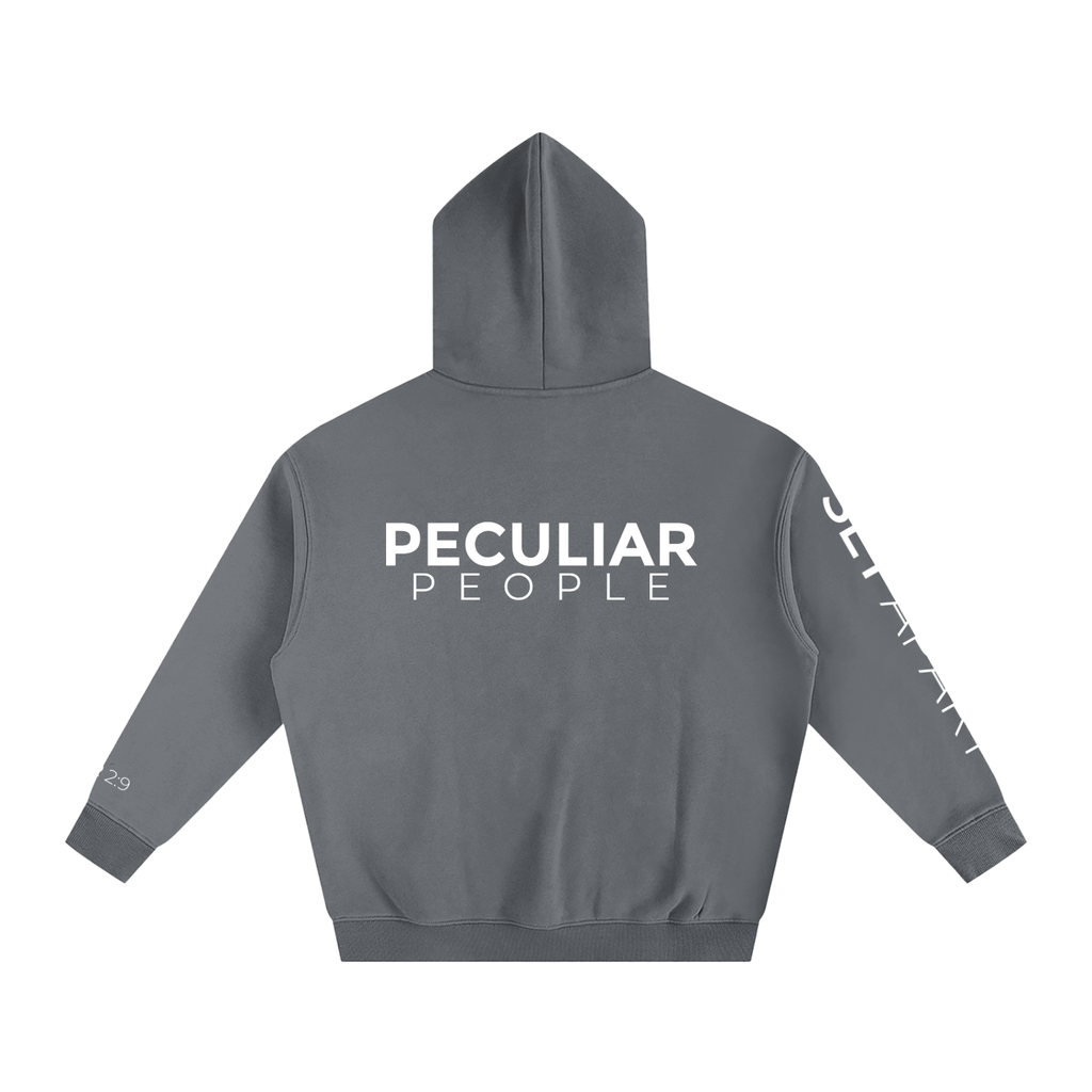 Set Apart Oversized Fleece Hoodie