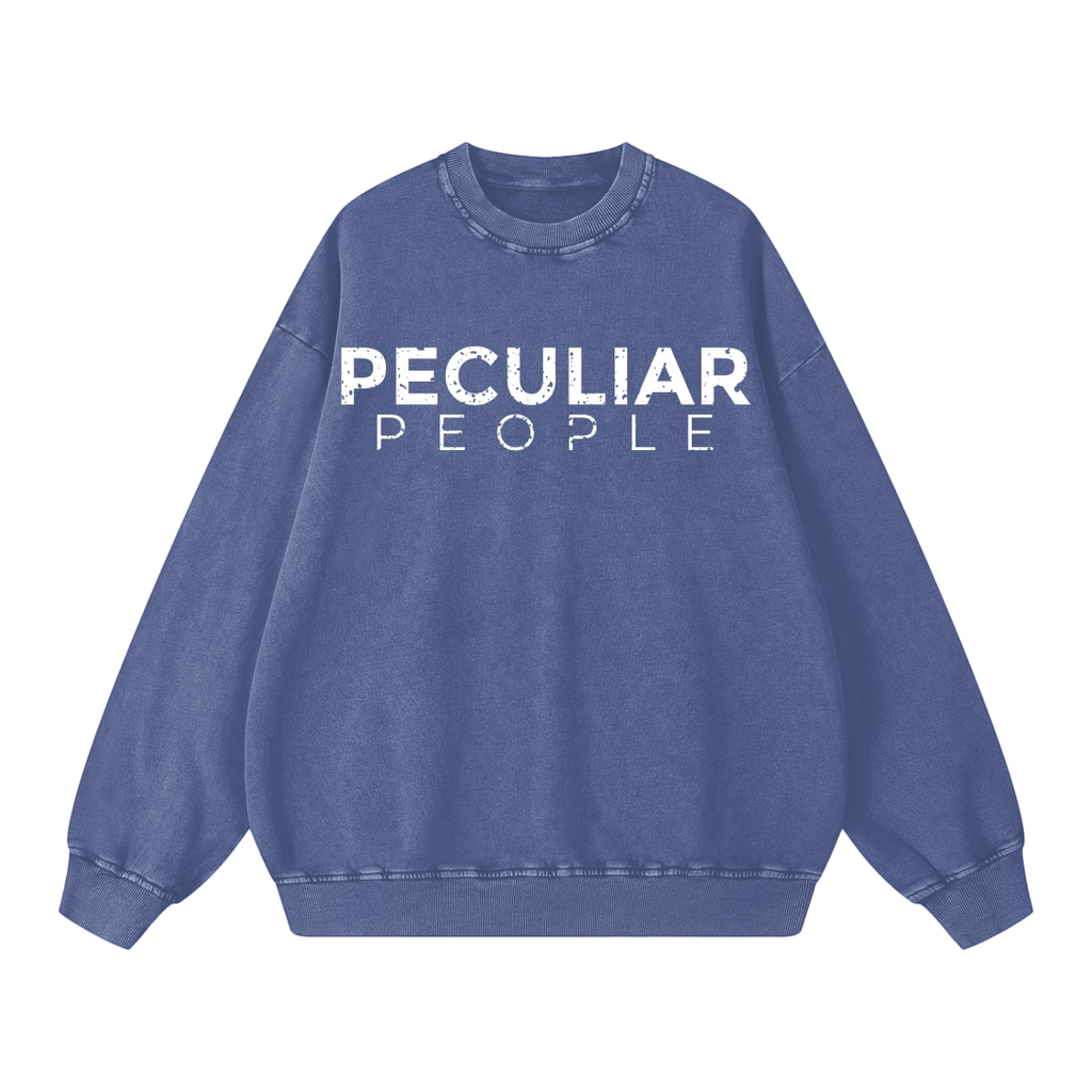 Snow Washed Oversized Sweatshirt