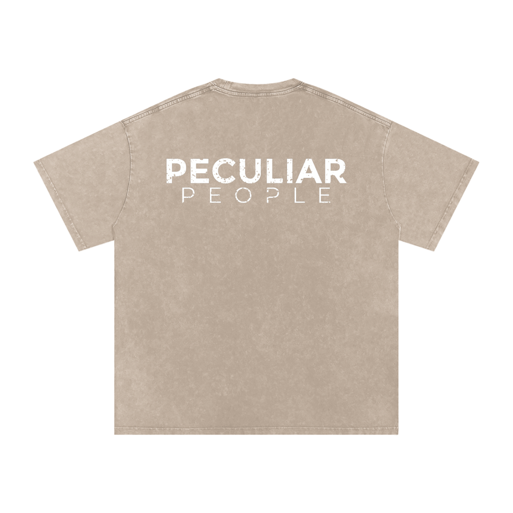 Snow Washed Oversized Cotton T-Shirt