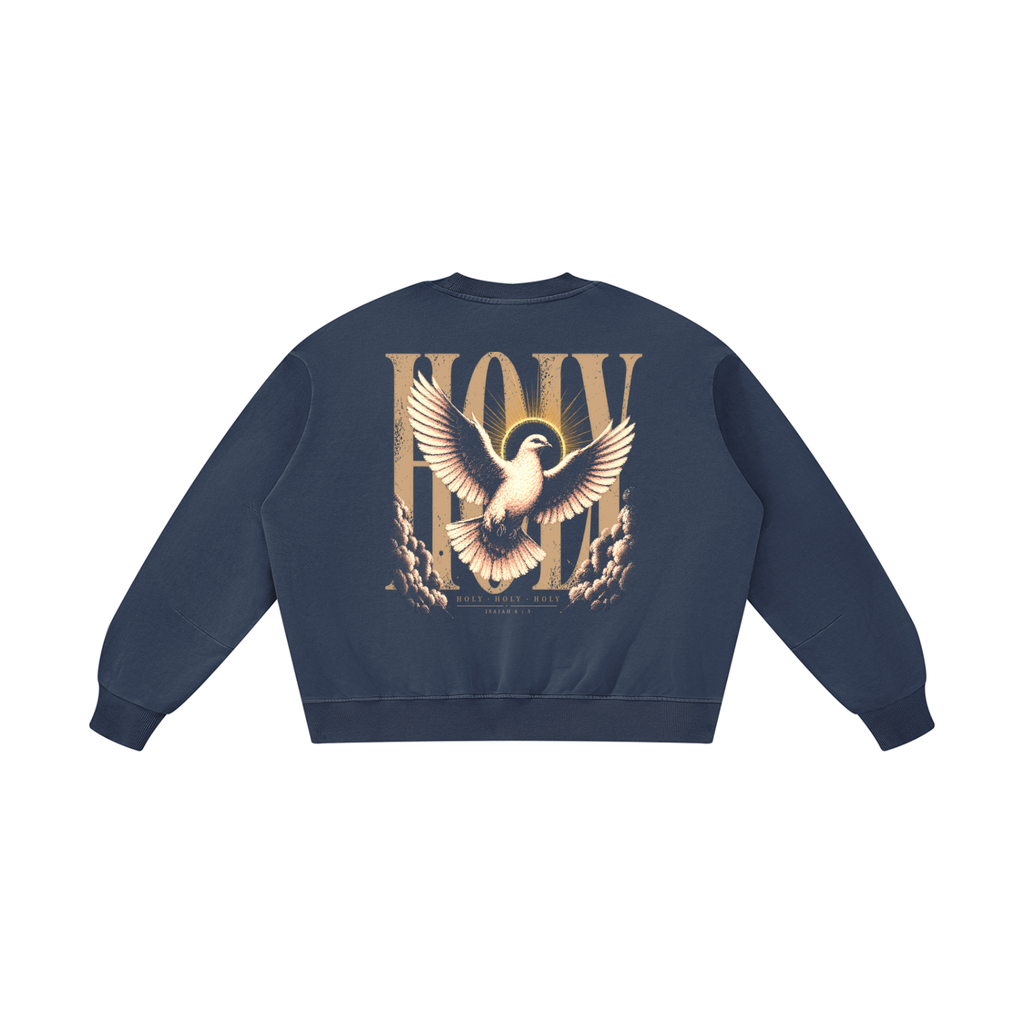 HOLY — Boxy Vintage Washed Sweatshirt