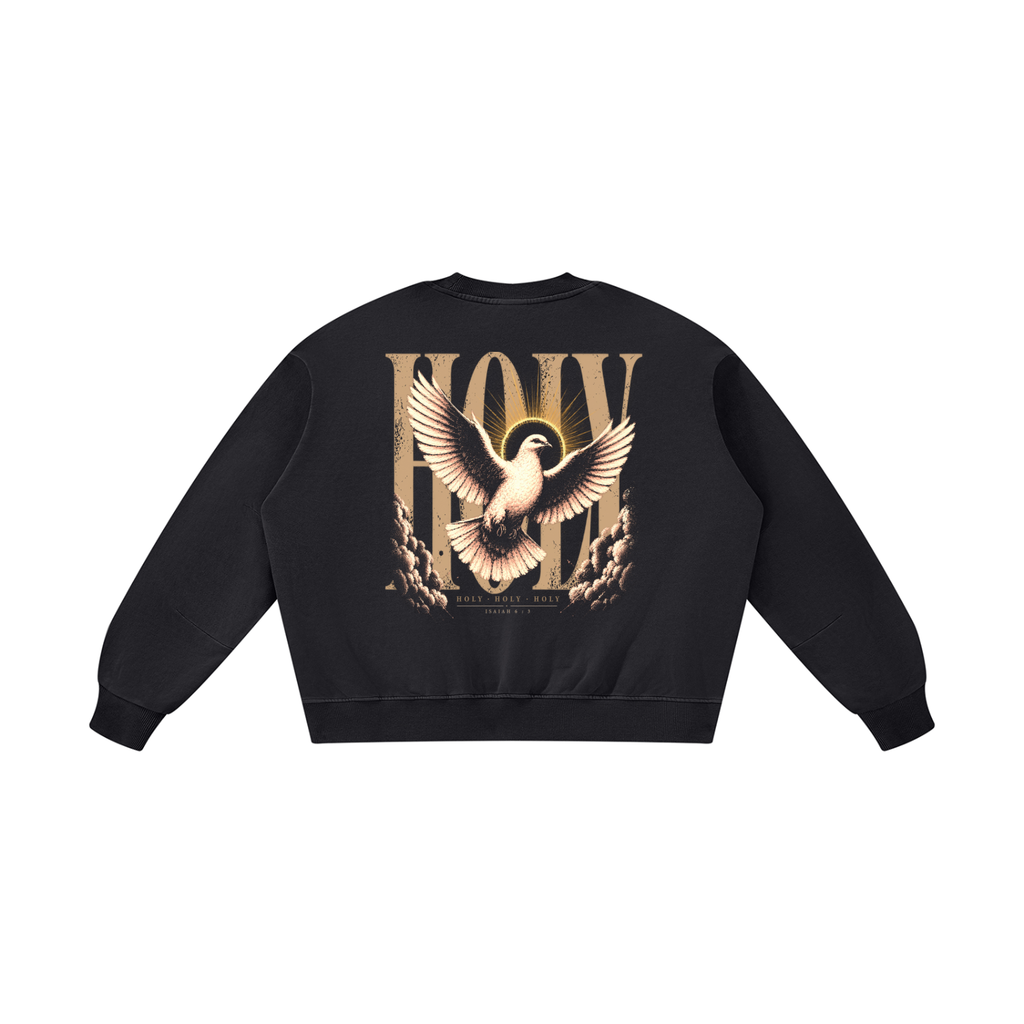 HOLY — Boxy Vintage Washed Sweatshirt