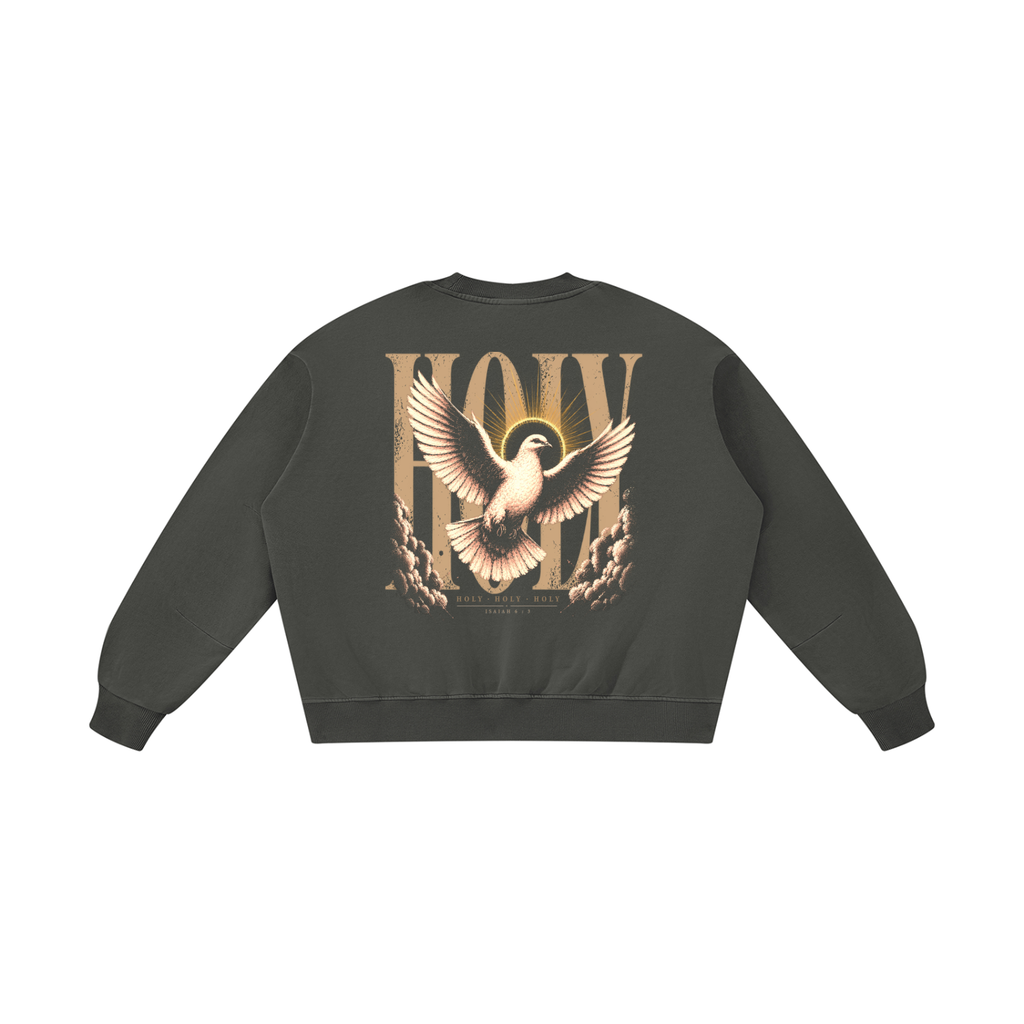 HOLY — Boxy Vintage Washed Sweatshirt