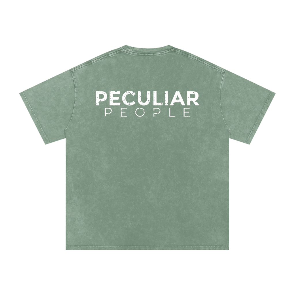 Snow Washed Oversized Cotton T-Shirt