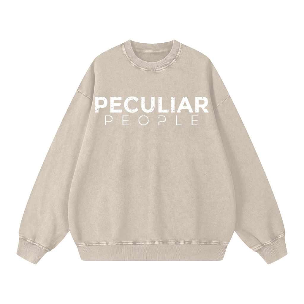 Snow Washed Oversized Sweatshirt