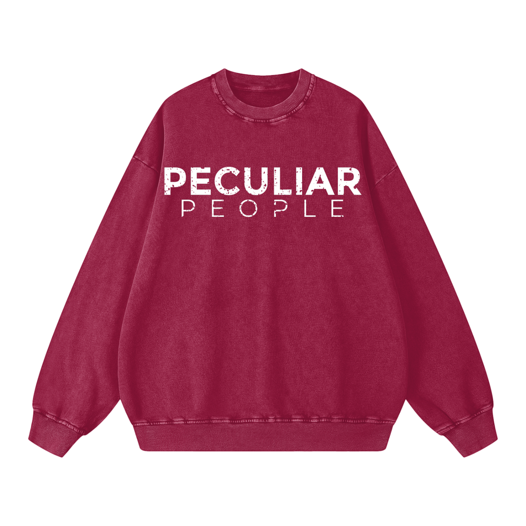 Snow Washed Oversized Sweatshirt